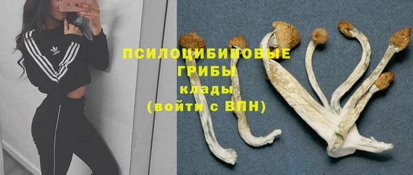 синтетический гашиш Алексеевка